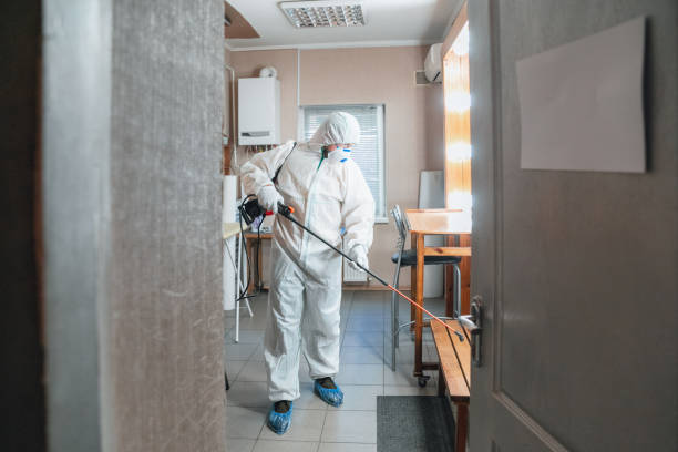 Best Biohazard Mold Removal  in Lincolnwood, IL